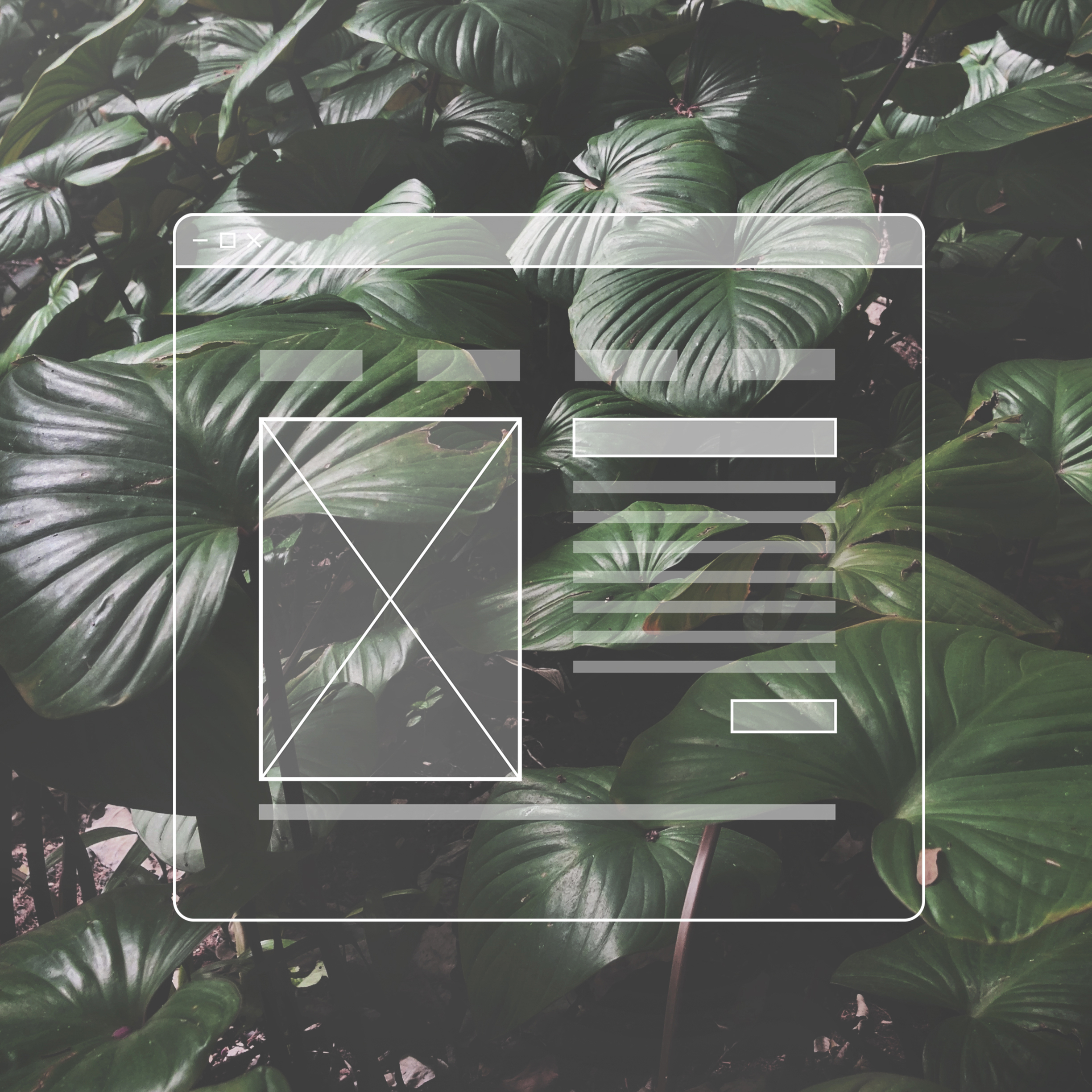 Interface Image